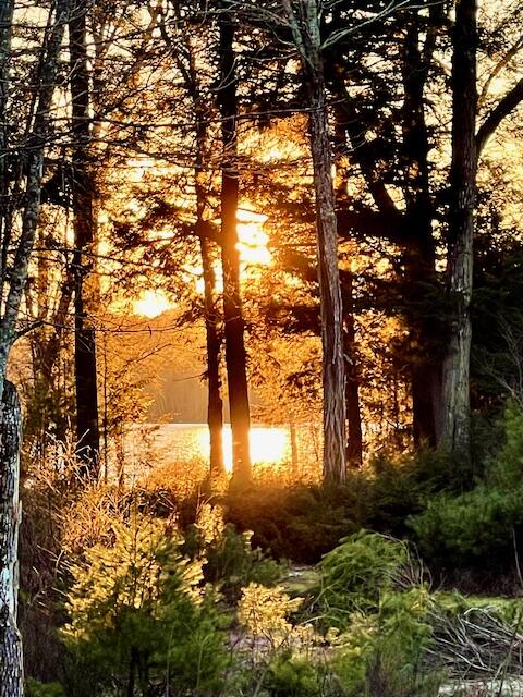 12 Doe Court, Unit 12 Naples, ME 04055 - Photo 17 of 23 IMG_4497