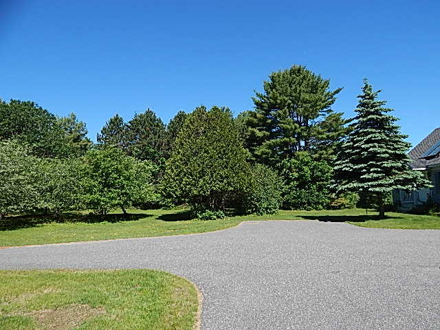 181 Patten Pond Road Surry, ME 04684 - Photo 4 of 36 4