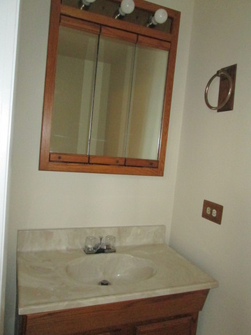 3055 Timber Hill Lane Aurora, IL 60504 - Photo 20 of 23 a bathroom with a sink and a mirror