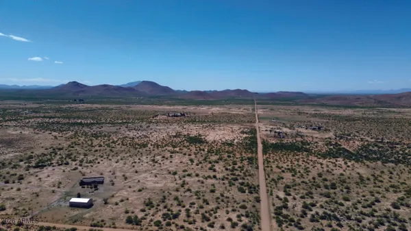 a view of a dry yard with lots of trees