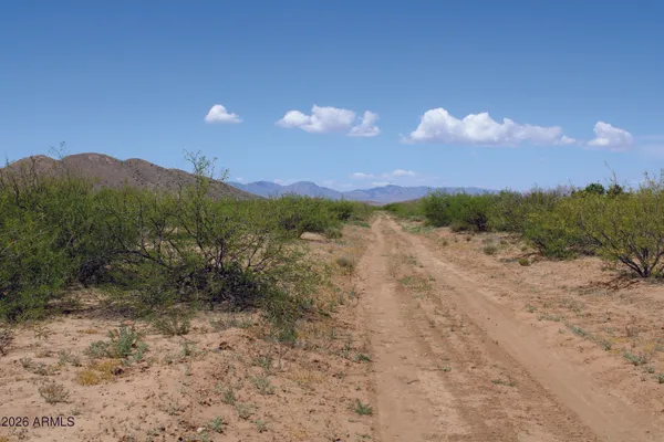 a view of a pathway with a yard
