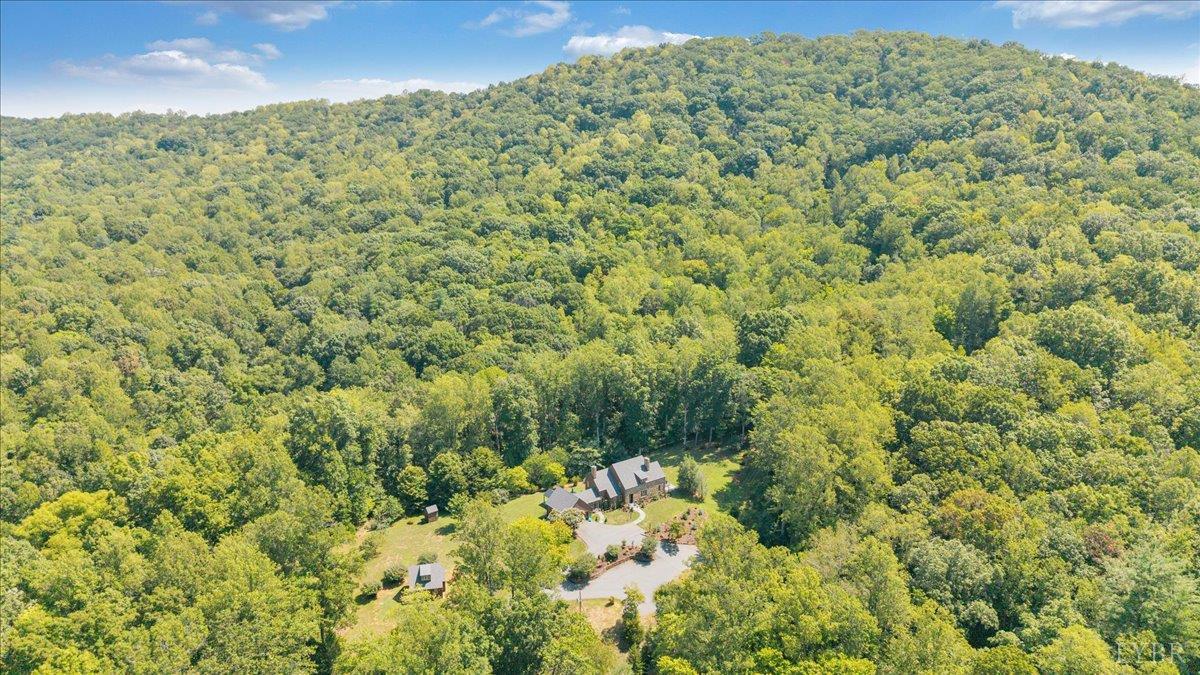 181 Mobley Mountain Road Amherst, VA 24521 - Photo 65 of 71 Gallery Image 65