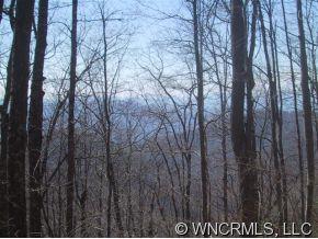 0 Baker Creek Road Marshall, NC 28753 - Photo 3 of 12 Gallery Image 3