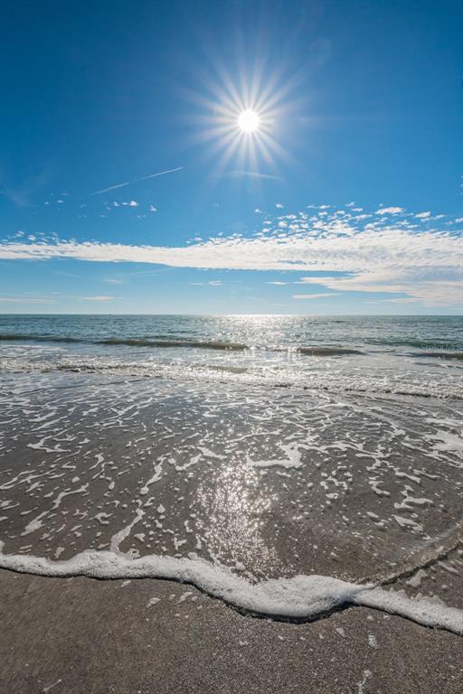 13650 Gulf Boulevard, Unit 401 Madeira Beach, FL 33708 - Photo 59 of 69