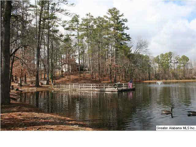 777 Carl Raines Lake Road Birmingham, AL 35244 - Photo 3 of 32