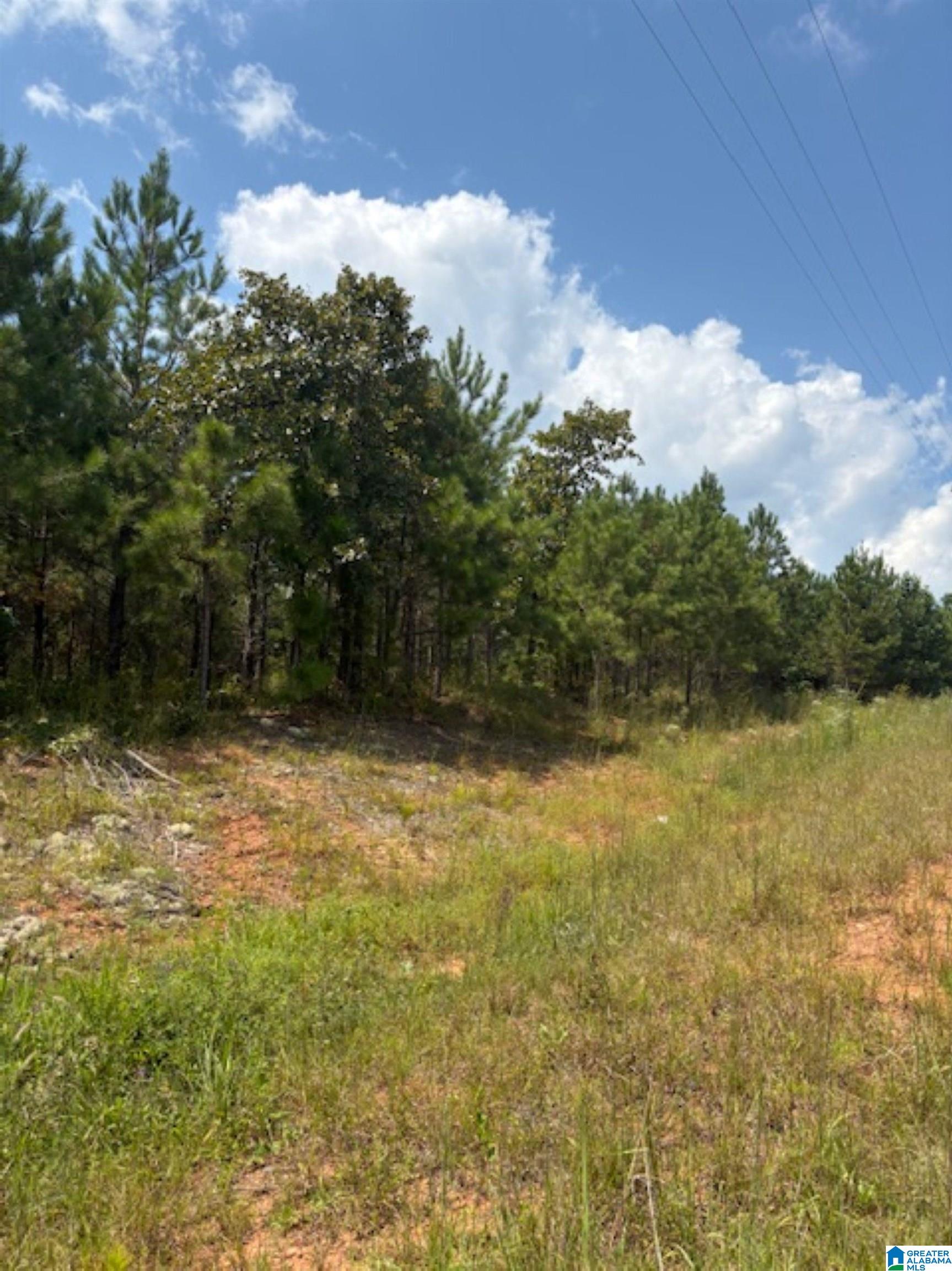 472 County Road, Unit 2 Clanton, AL 35045 - Photo 7 of 10