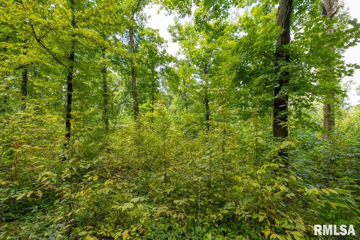 0 Hawkins Road Vienna, IL 62995 - Photo 25 of 36 Gallery Image 25