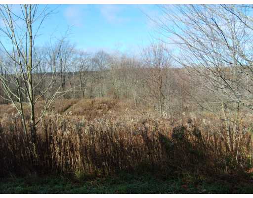 0 Edinboro Plank Road Edinboro, PA 16412 - Photo 1 of 4 Land.