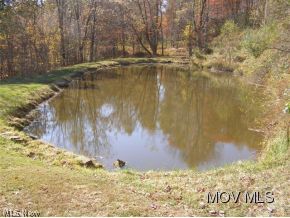 0 Rt 74 Pennsboro, WV 26415 - Photo 2 of 10 Farm Pond