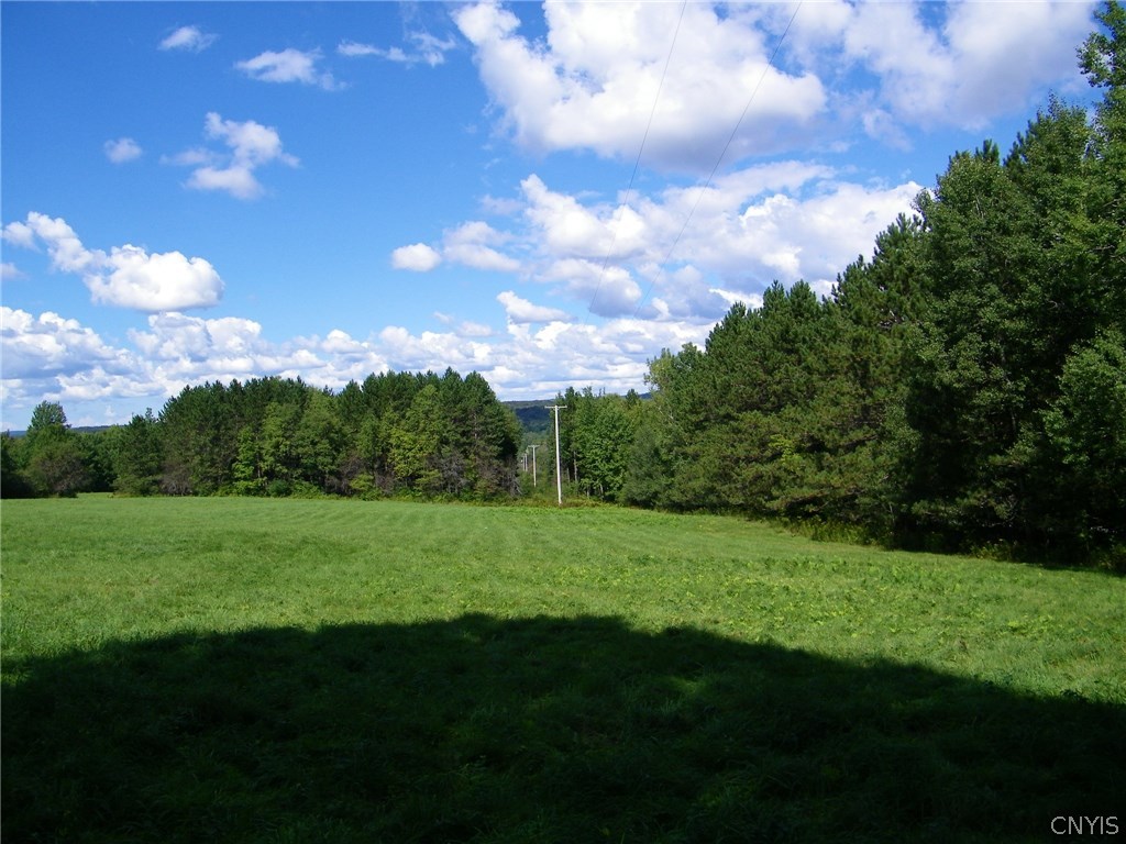 0 Ryan Road Redfield, NY 13437 - Photo 7 of 16 Gallery Image 7