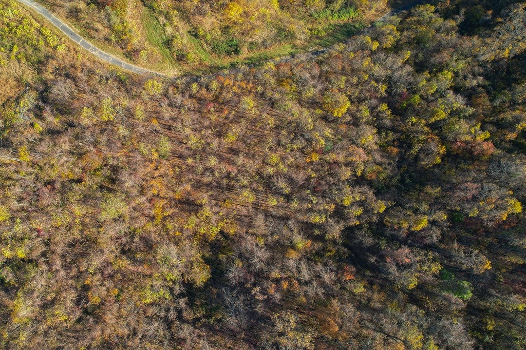 Tbd Tbd Spring Valley Road Fancy Gap, VA 24328 - Photo 11 of 27 Gallery Image 11
