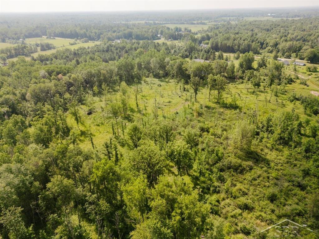 4673 Church Road Rhodes, MI 48652 - Photo 54 of 66