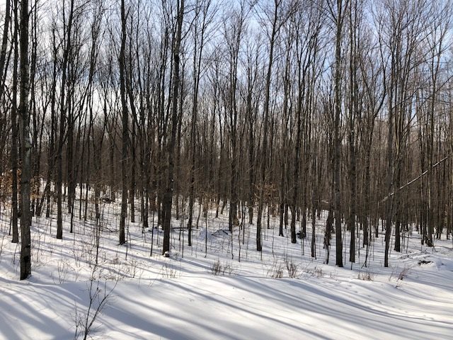 61 Highland Road Underhill, VT 05489 - Photo 12 of 28 Gallery Image 12