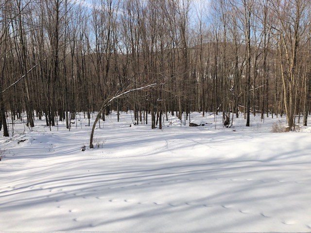61 Highland Road Underhill, VT 05489 - Photo 13 of 28 Gallery Image 13