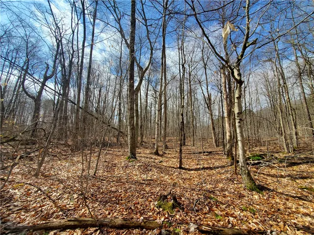 $64,900 | Lot 4 Goddards Road, Mount Vision, NY 13810