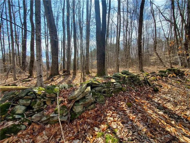 $64,900 | Lot 4 Goddards Road, Mount Vision, NY 13810