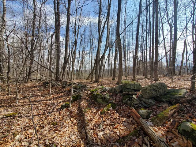 $64,900 | Lot 4 Goddards Road, Mount Vision, NY 13810