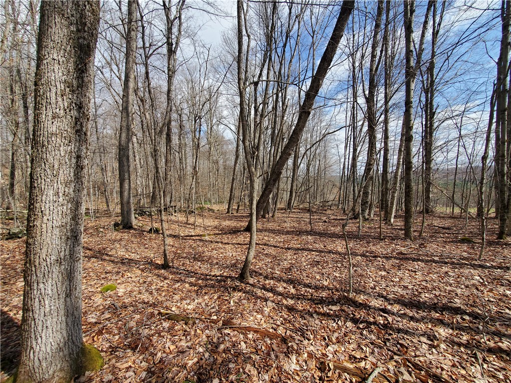 Lot 4 Goddards Road Mount Vision, NY 13810 - Photo 14 of 23