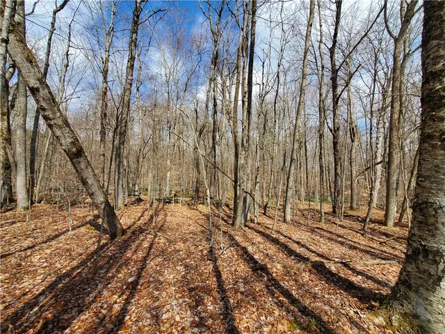 $64,900 | Lot 4 Goddards Road, Mount Vision, NY 13810