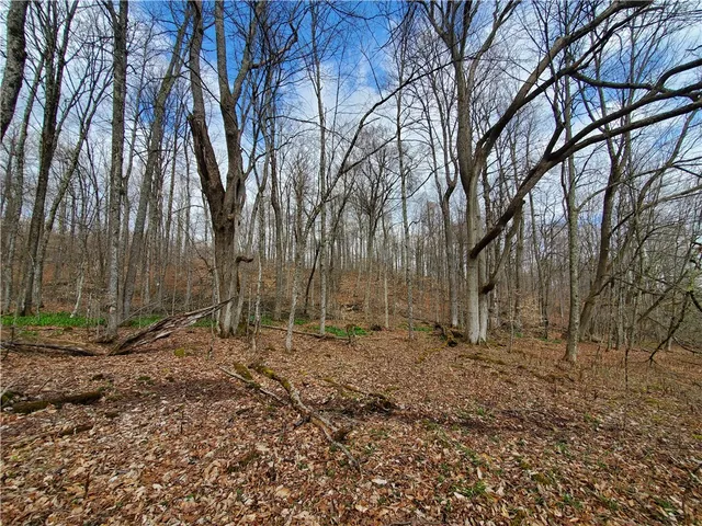 $64,900 | Lot 4 Goddards Road, Mount Vision, NY 13810