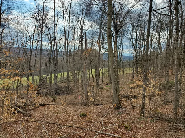 $64,900 | Lot 4 Goddards Road, Mount Vision, NY 13810