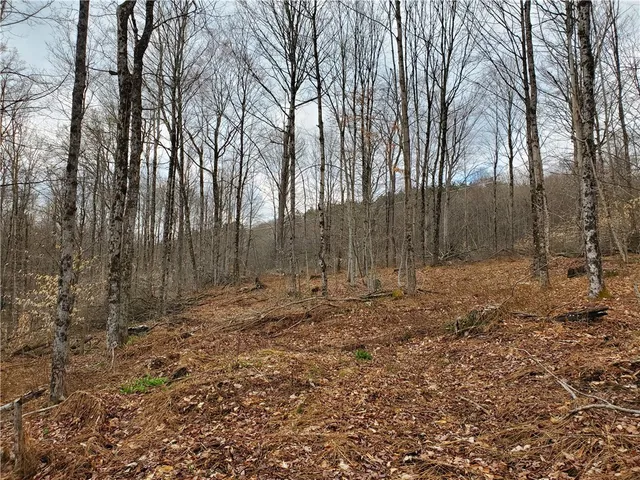 $64,900 | Lot 4 Goddards Road, Mount Vision, NY 13810