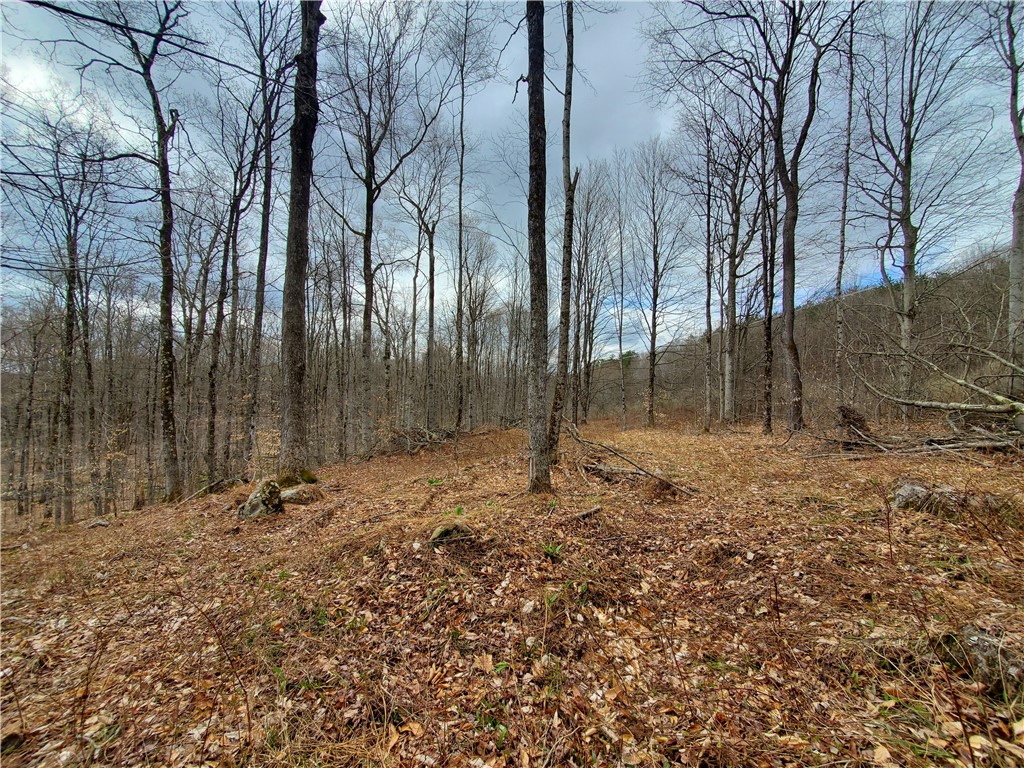 Lot 4 Goddards Road Mount Vision, NY 13810 - Photo 19 of 23