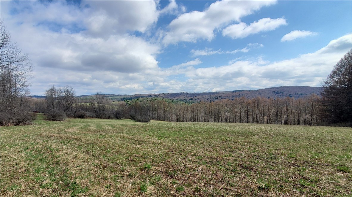 Lot 4 Goddards Road Mount Vision, NY 13810 - Photo 2 of 23