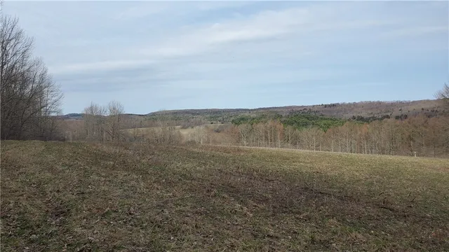 $64,900 | Lot 4 Goddards Road, Mount Vision, NY 13810