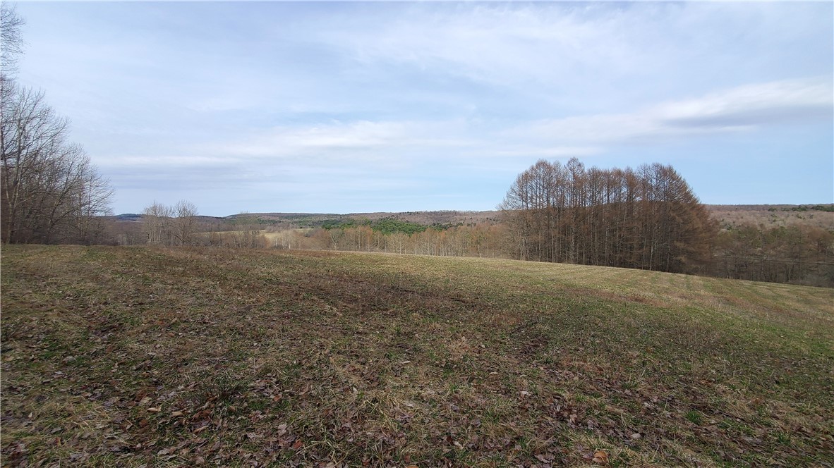 Lot 4 Goddards Road Mount Vision, NY 13810 - Photo 23 of 23