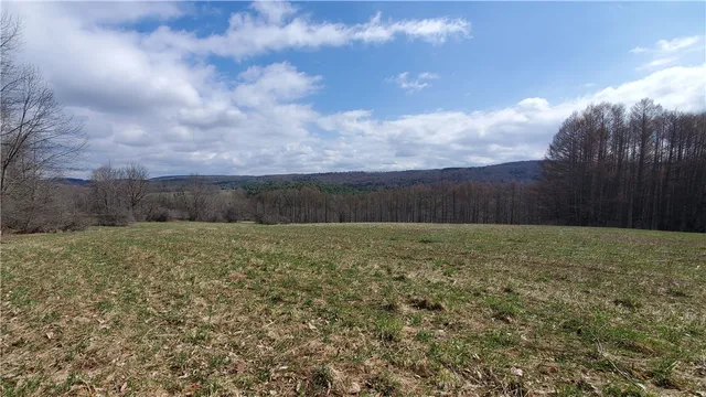 $64,900 | Lot 4 Goddards Road, Mount Vision, NY 13810