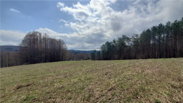 $64,900 | Lot 4 Goddards Road, Mount Vision, NY 13810