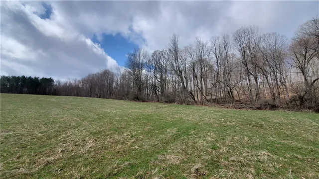 $64,900 | Lot 4 Goddards Road, Mount Vision, NY 13810
