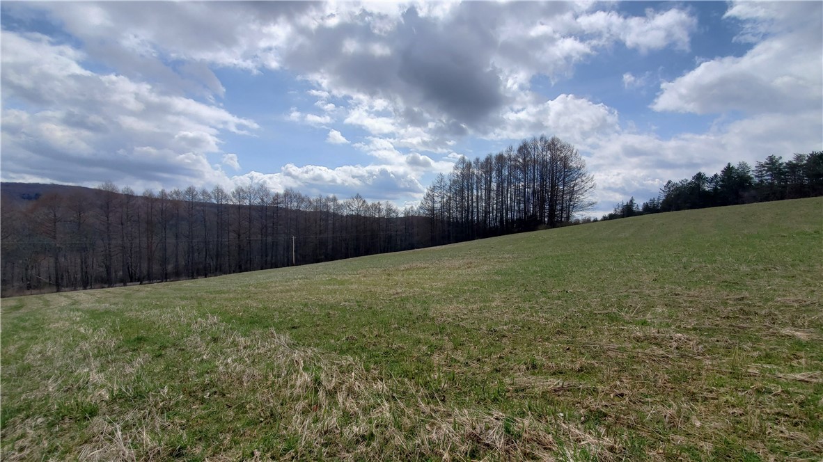Lot 4 Goddards Road Mount Vision, NY 13810 - Photo 6 of 23