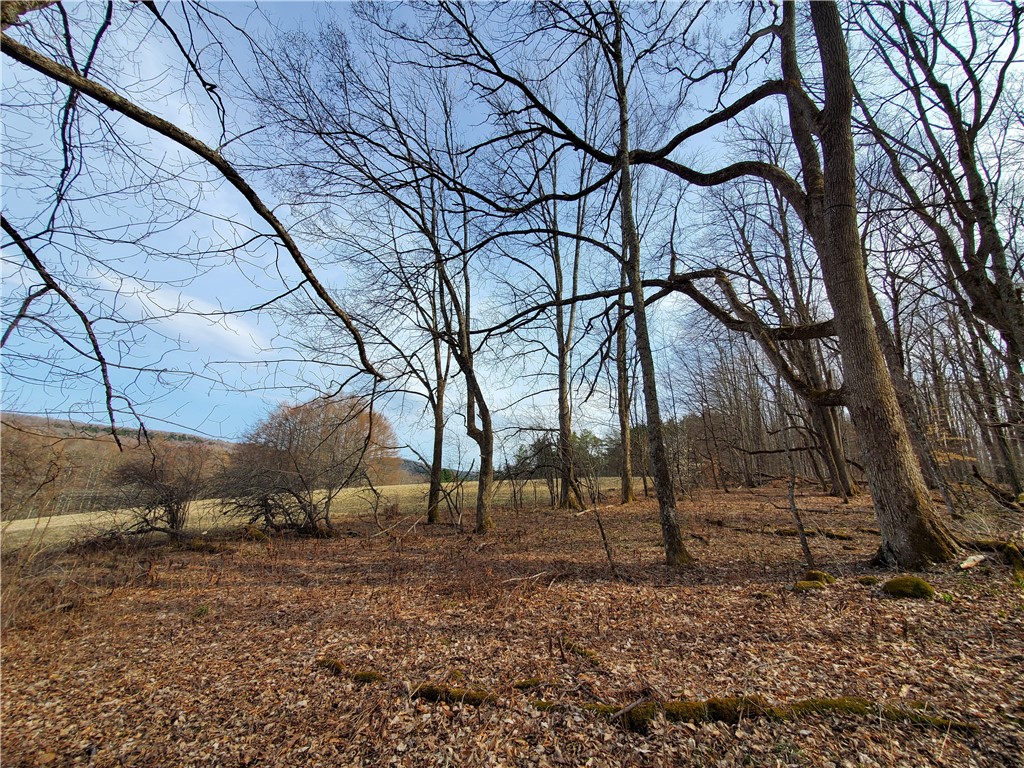 Lot 4 Goddards Road Mount Vision, NY 13810 - Photo 7 of 23
