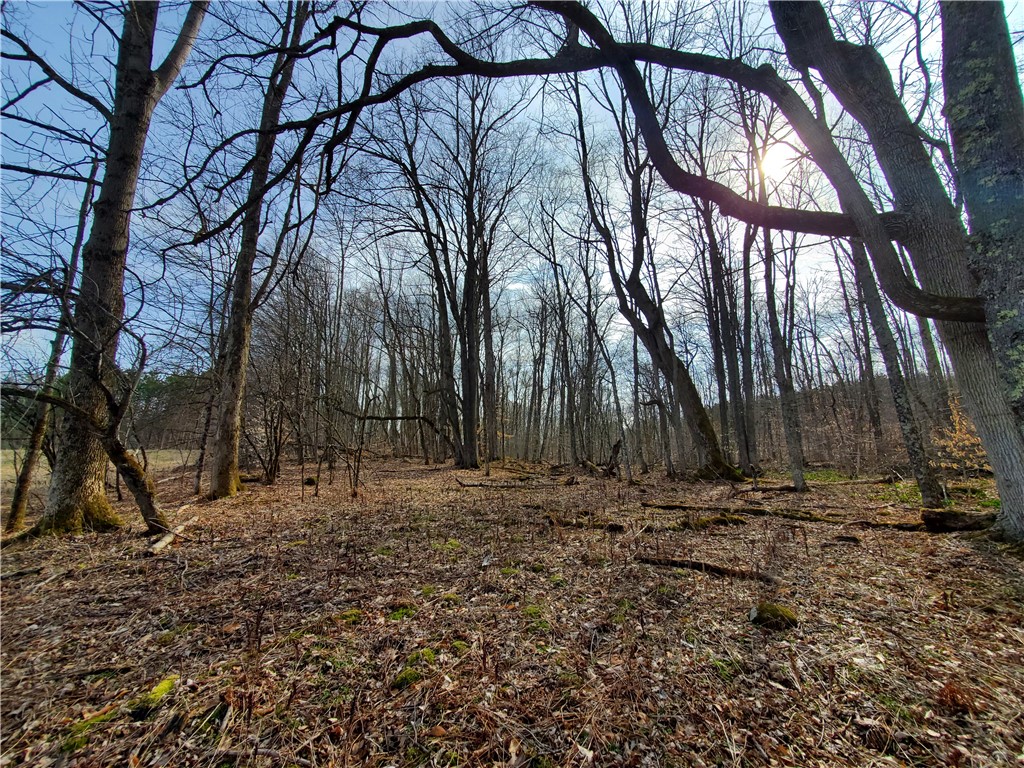 Lot 4 Goddards Road Mount Vision, NY 13810 - Photo 8 of 23