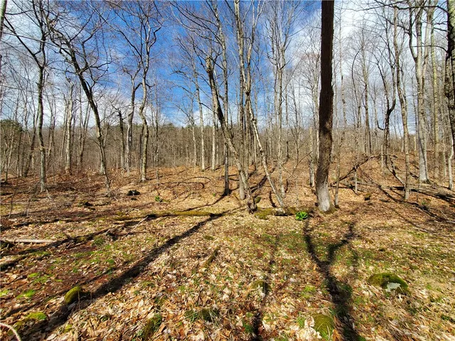 $64,900 | Lot 4 Goddards Road, Mount Vision, NY 13810