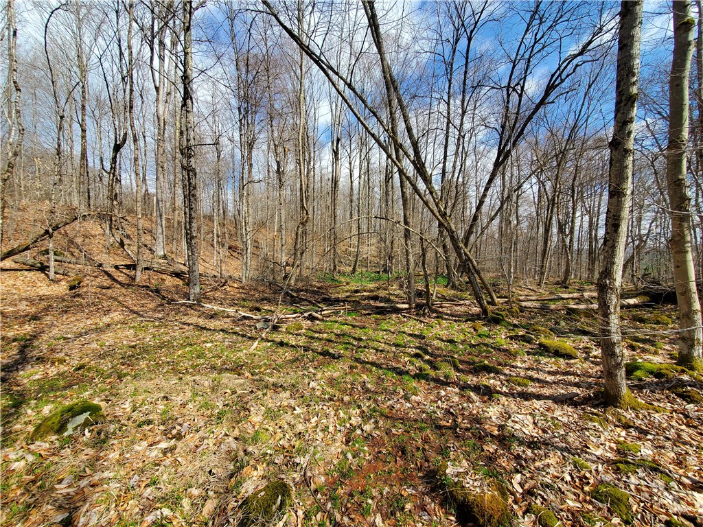 Lot 4 Goddards Road Mount Vision, NY 13810 - Photo 10 of 23