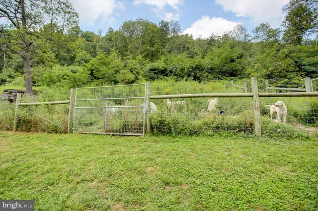 a view of a lush green field with lots of bushes