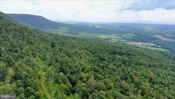a view of a backyard with sitting area
