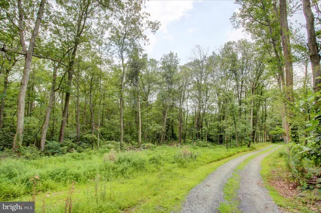 a view of outdoor space and green space