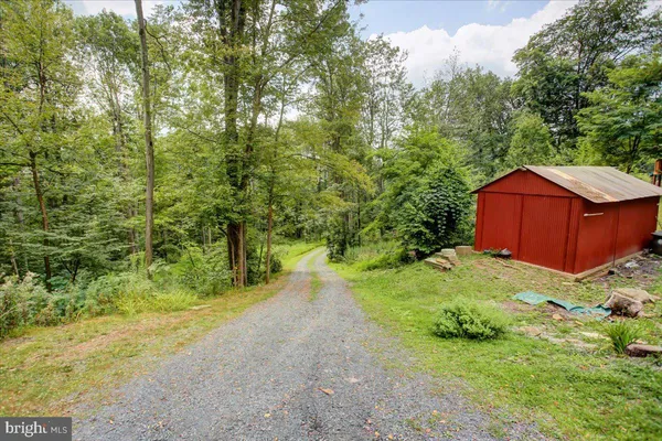 a view of a backyard