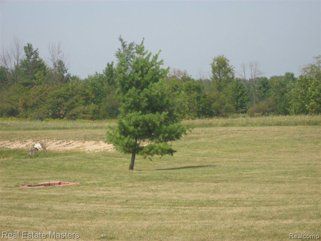 8109 Gibbons Road Jeddo, MI 48032 - Photo 14 of 17 GIBBONS3.JPG