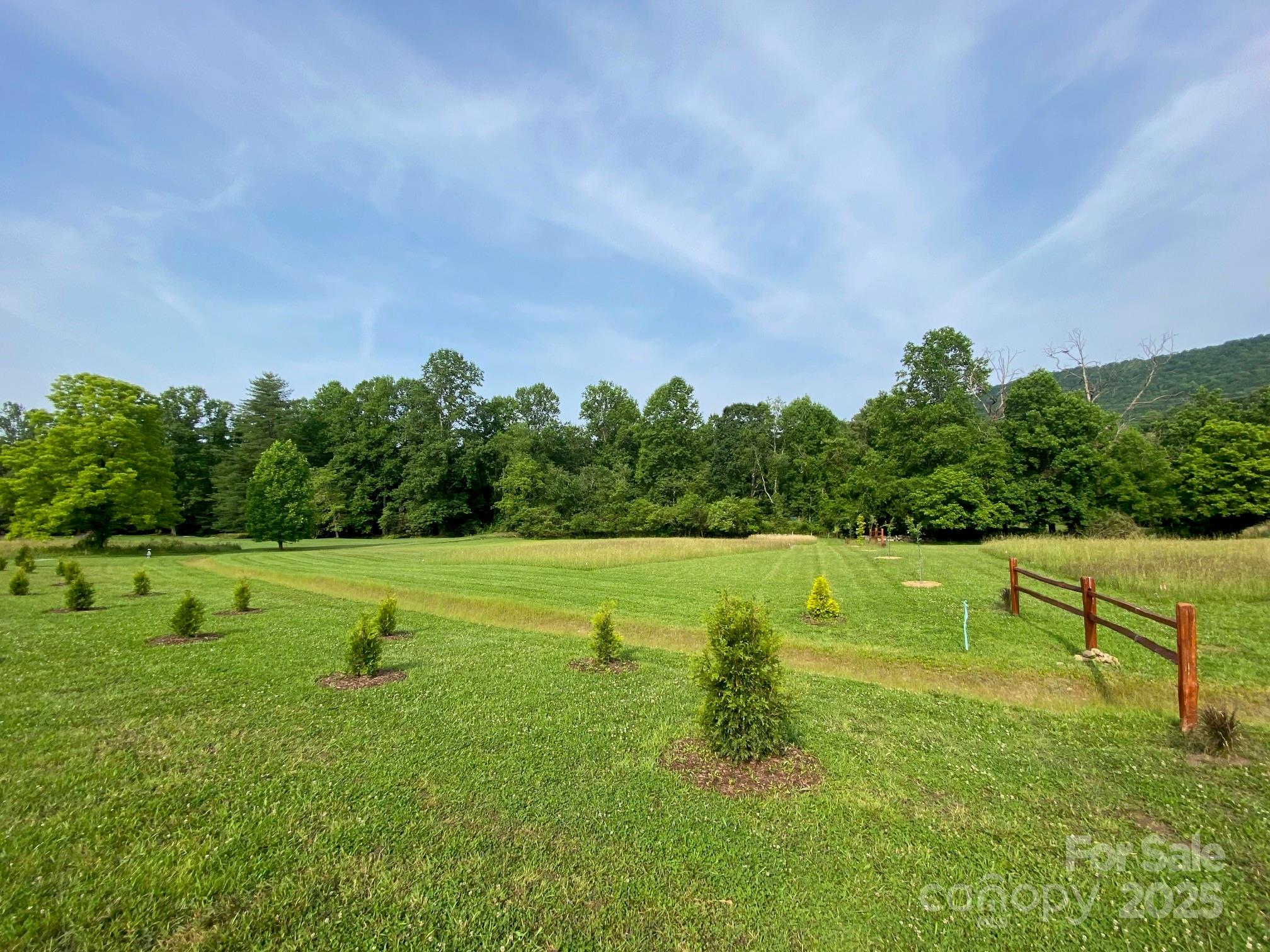 a view of an outdoor space and a yard