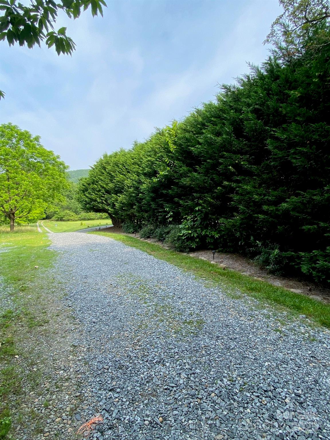 9999 Hunters Ridge Road, Unit 2 Mills River, NC 28759 - Photo 15 of 20 a view of a yard with plants and large trees