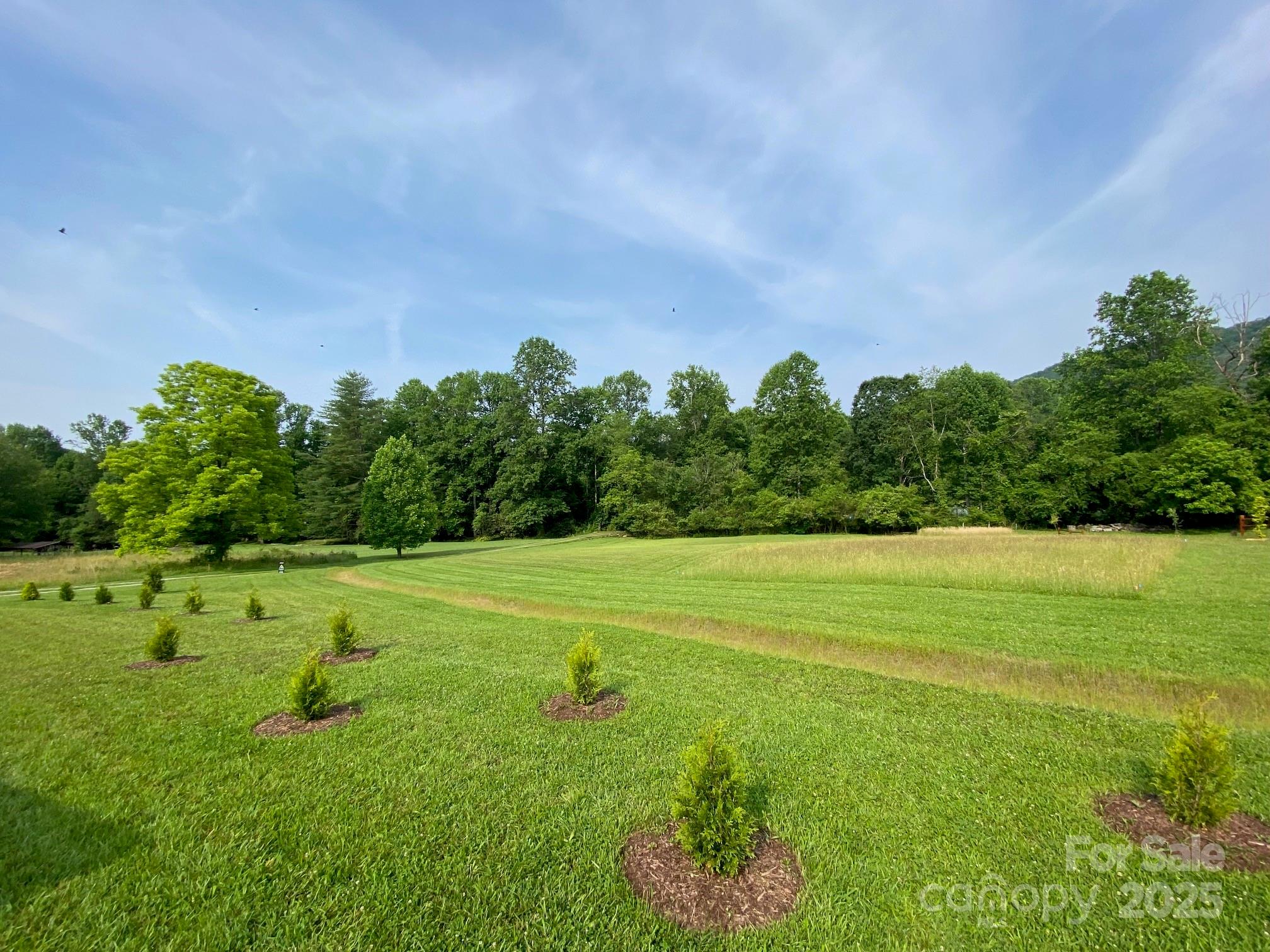 9999 Hunters Ridge Road, Unit 2 Mills River, NC 28759 - Photo 2 of 20 a yard with lots of green space and trees