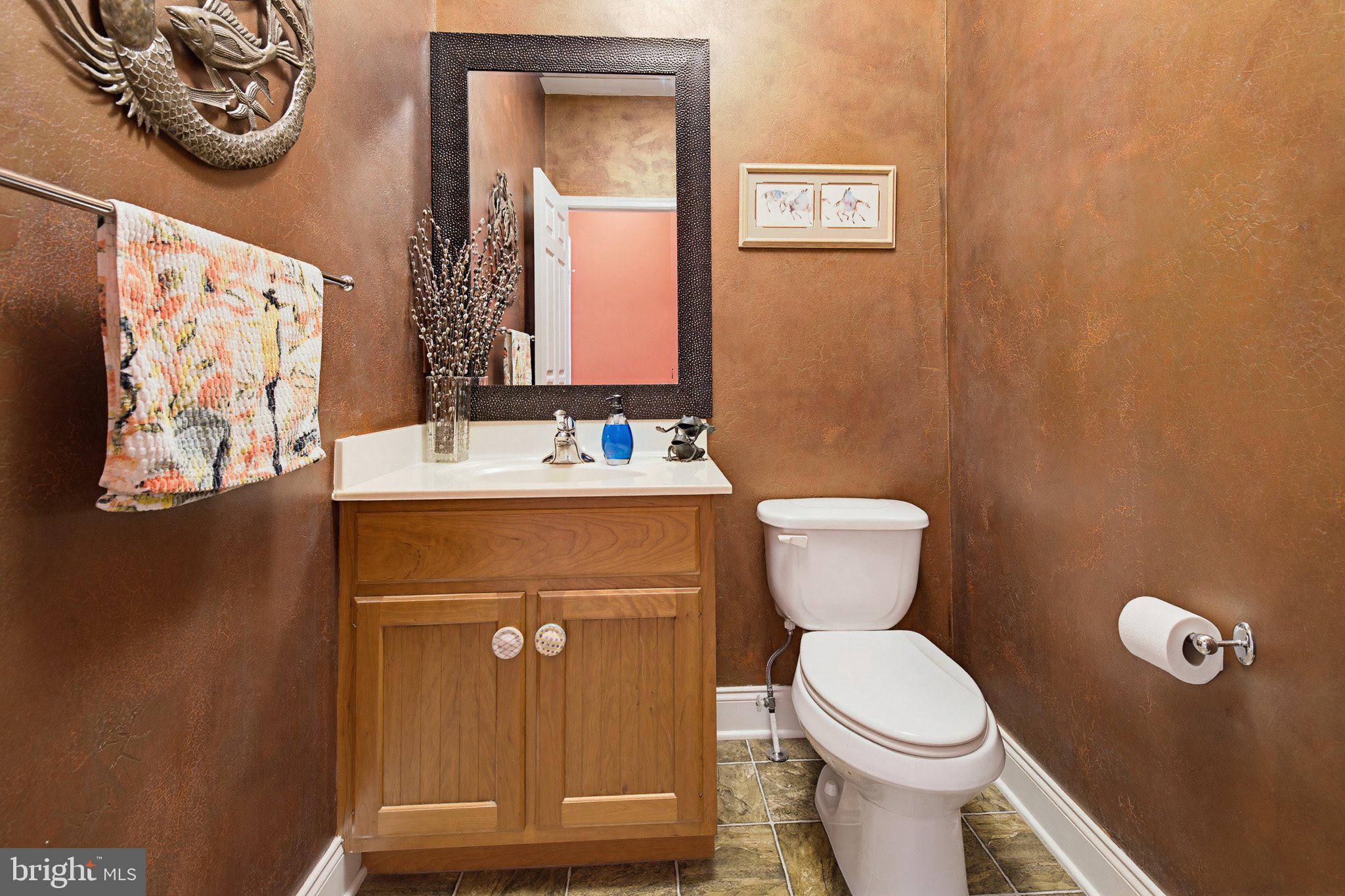 704 Woodfield Drive Lititz, PA 17543 - Photo 20 of 44 1st Flr powder Room