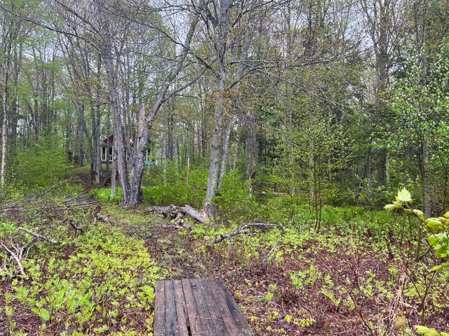 $325,000 | 2 Union River Road, Mariaville, ME 04605