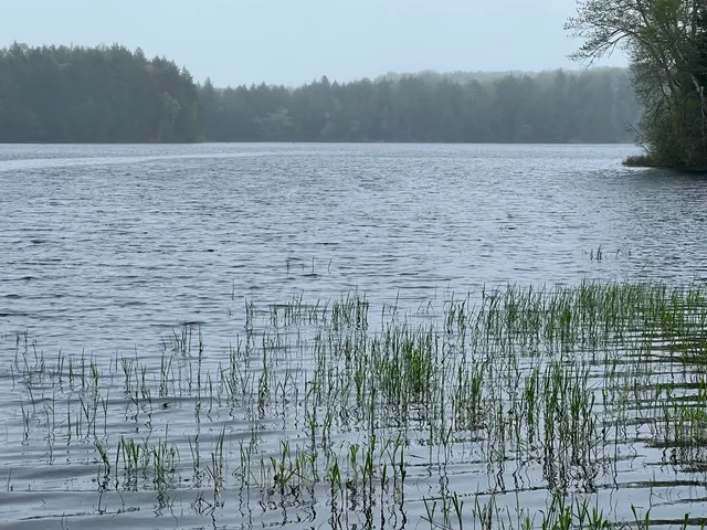 $325,000 | 2 Union River Road, Mariaville, ME 04605