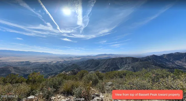 a view of a dry yard with trees
